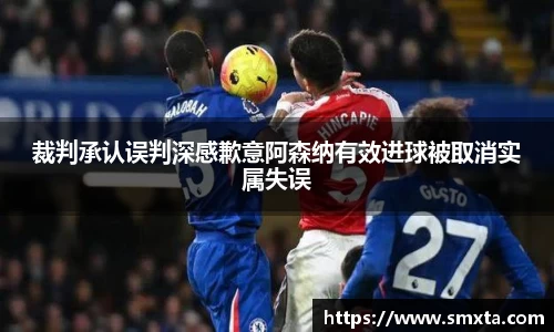 裁判承认误判深感歉意阿森纳有效进球被取消实属失误